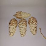 DECOLED Sada vánočních ozdob šišky 11 cm, plast IP44, k zavěšení, venkovní, balení 4 ks – Hledejceny.cz