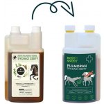 Root&Snoot Pulmoran Dých.cesty pro koně sirup 1 l – Hledejceny.cz