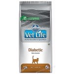 Vet Life Cat Diabetic 2 kg – Zboží Mobilmania