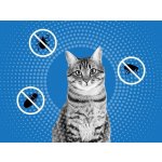 Frontline Spot-On Cat 3 x 0,5 ml – Zboží Mobilmania