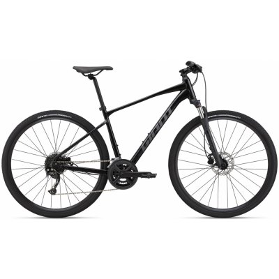 Giant Roam 2 Disc 2022