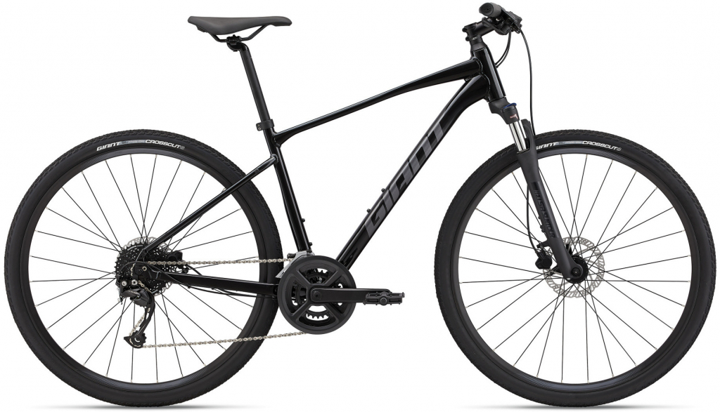 Giant Roam 2 Disc 2022