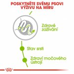 Royal Canin X Small Adult 0,5 kg – Sleviste.cz