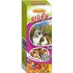 Avicentra Tyčinka Hlodavec vitamíny med 2 x 60 g – Zboží Dáma