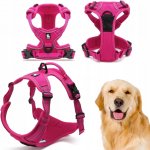 Truelove Postroj pro psa – Zboží Dáma