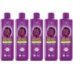 LR Mind Master Formula Red 5 x 500 ml – Hledejceny.cz