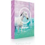 Karton P+P A4 Jumbo Kůň Romantic 5-71019 – Hledejceny.cz