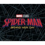 Spider-Man: Brand New Day - The Art of the Movie (Marvel Various)(Pevná) – Hledejceny.cz