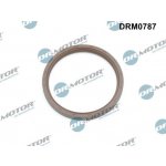 Těsnicí kroužek klikového hřídele Dr.Motor Automotive DRM0787 – Zboží Mobilmania