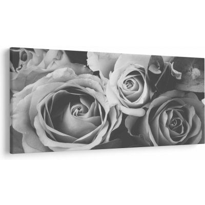Obraz - Růže, černobílá, jednodílný 250x125 cm – Hledejceny.cz