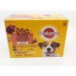 Pedigree Adult kuře hovězí krůta játra jehněčí ve šťávě 12 x 100 g – Sleviste.cz