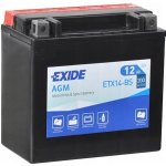 Exide YTX14-BS, ETX14-BS – Zboží Mobilmania