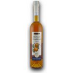 R. Jelínek Starovická Meruňkovice 2019 42% 0,7 l (holá láhev) – Zboží Dáma