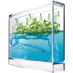 Forest Ant Ecoterrarium – Zboží Mobilmania