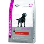 Eukanuba Labrador Retriever 2,5 kg – Hledejceny.cz