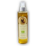 Extra Virgin Olive Oil Spray 0,25 l – Zboží Dáma