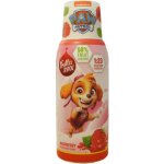 Fruttamax Paw Patrol Malinový sirup Skye 500 ml – Zboží Mobilmania