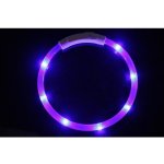 Reedog Easy Light svítící obojek pro psy – Zboží Mobilmania