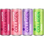 Alldeynn collagen drink broskev mandarinka meruňka 330 ml – Hledejceny.cz