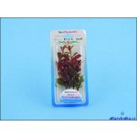 Tetra rostlina Red Ludwigia 23 cm – Zboží Mobilmania