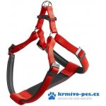 FP Postroj DAYTONA P – Sleviste.cz