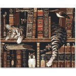 Zuty Malování podle čísel KOCOUR V KNIHOVNĚ – Hledejceny.cz