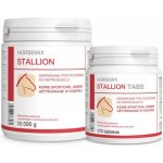 DOLFOS Horsemix Stallion 170 tablet – Hledejceny.cz