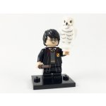 LEGO® Minifigurky 71022 Harry Potter Fantastická zvířata 22. série Harry Potter™ – Hledejceny.cz