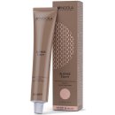 Indola Profession Blonde Expert High Lifting permanentní 1000.0 60 ml