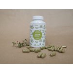 Ondřej Ullrich Moringa oleifera 150 tablet – Hledejceny.cz