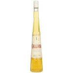 Galliano 30% 0,7 l (holá láhev) – Zboží Dáma