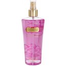 Victoria´s Secret Strawberry & Champagne tělový sprej 250 ml