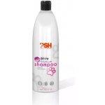 PSH WHITE TITANUM vybělovací šampon 1000 ml – Zboží Mobilmania