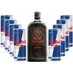 Jägermeister #SaveTheNight 35% LE 0,7 l a 8 x Red Bull 0,25 l (set) – Zbozi.Blesk.cz