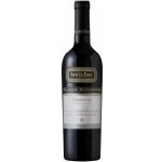 Santa Ema Gran Reserva Carmenère suché červené 2023 14% 0,75 l (holá láhev) – Hledejceny.cz