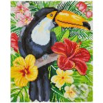 VIMALOR Diamantové malování Tukan 34 x 43 cm – Zboží Mobilmania