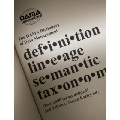 DAMA Dictionary of Data Management – Sleviste.cz