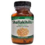 Herbal Hills Shallakihills Bylinné kapsle 60 kapslí – Hledejceny.cz