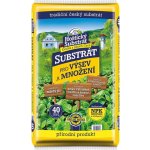 Forestina Substrát HOŠTICKÝ pro výsev a množení 40 l – Zboží Mobilmania