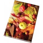 Concorde Záznamní kniha A5 čistá 100 listů – Sleviste.cz