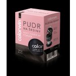 Colorwin Pudr na šediny černý 3,2 g – Zboží Dáma