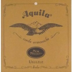 Aquila 42U