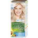 Garnier Color Naturals Creme 1001 Popelavá ultra blond – Hledejceny.cz