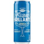 San Pellegrino Tonic plech 330 ml – Zboží Dáma