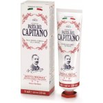 Pasta Del Capitano Original Recipe 75 ml – Hledejceny.cz