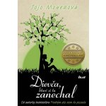 Dievča, ktoré si tu zanechal - Jojo Moyes – Hledejceny.cz