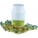 Krmiva Hulín Omega 3 a Vitamín E pro psy tbl 1000 mg 250 ks – Hledejceny.cz