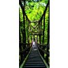 Tapety AG Design FTNV-2937 Fototapeta na zeď - Dřevěný most v lese rozměry 90 x 202 cm