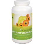 Wetyzo pH Minerals Odkyselení organismu 302 g – Hledejceny.cz