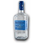 Hayman's Gin London Dry Gin 41,2% 0,7 l (holá láhev) – Sleviste.cz